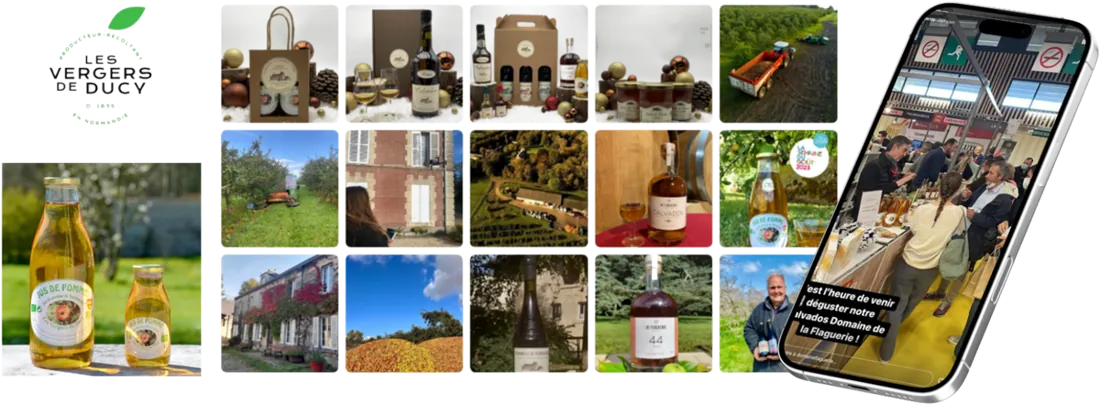 Univers de marque des Vergers de Ducy : produits, coffrets, vergers et salons